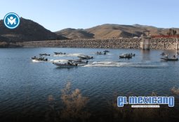 Exhortan contadores a otorgar prórrogas ante constantes fallas en el portal del SAT