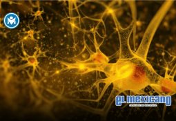 Sheinbaum firma decreto para congelar; aplicar quitas; reducir intereses y condonar 400 mil créditos impagables del FOVISSSTE