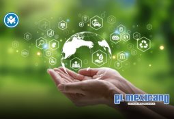 Object First ofrece inmutabilidad para todos con una línea de productos