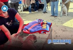 Recibe Ensenada Distintivo Oro en materia turística Recibe Ensenada Distintivo Oro en materia turística