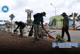 Lanza UDCI convocatoria para Festival Internacional Corto Creativo 2025 Lanza UDCI convocatoria para Festival Internacional Corto Creativo 2025