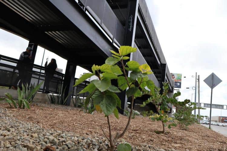 imagen-cuerpo imagen-cuerpo