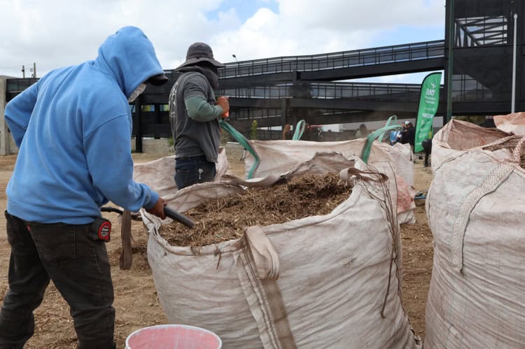 imagen-cuerpo imagen-cuerpo