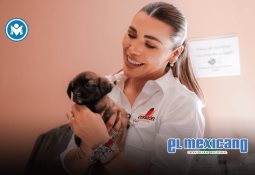 Levanta Gobierno de Ensenada 23 actas administrativas en operativo en bares