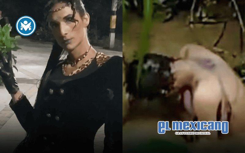 Asesinan a mujer trans en Colombia; le fracturaron brazos y piernas y la lanzaron a un río Asesinan a mujer trans en Colombia; le fracturaron brazos y piernas y la lanzaron a un río