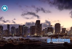 Perro salchicha sobrevive a 18 meses en la naturaleza en Australia Perro salchicha sobrevive a 18 meses en la naturaleza en Australia