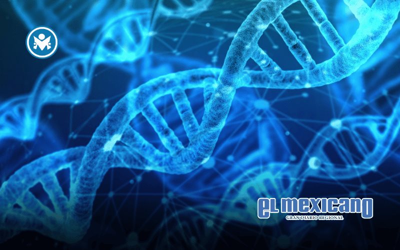 La divisi&oacute;n farmac&eacute;utica de Bayer se posiciona con terapias innovadoras