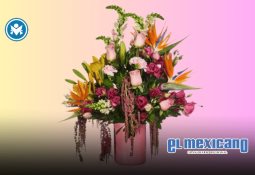 A través del FONART y Original se apoyará a 140% más artesanas y artesanos mexicanos como parte del Plan México: Sheinbaum 
