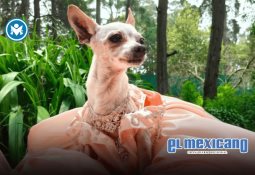 Los cinco tips de Vane Oliveira para las mujeres con hijos que empiezan una relación