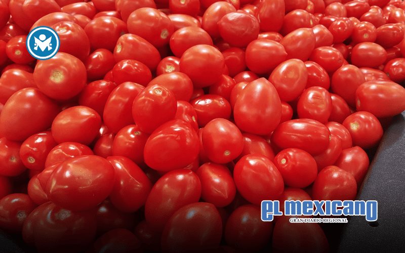 EE.UU. aplicará aranceles al tomate mexicano del casi 21% a partir de julio EE.UU. aplicará aranceles al tomate mexicano del casi 21% a partir de julio