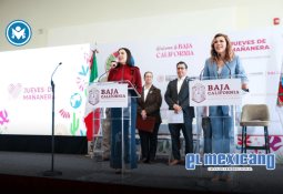 Disminuyen en cerca de un 50% los homicidios dolosos en Ensenada: CAM