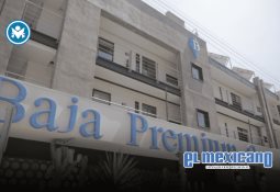 Garantiza Marina del Pilar sustento económico de calandrieros cuidando el bienestar animal y el medio ambiente. Garantiza Marina del Pilar sustento económico de calandrieros cuidando el bienestar animal y el medio ambiente.