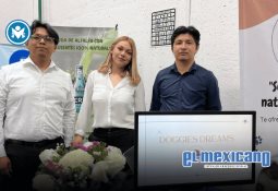 Realizan con éxito el "Terra Fest 2025" en la Avenida Revolución Realizan con éxito el "Terra Fest 2025" en la Avenida Revolución