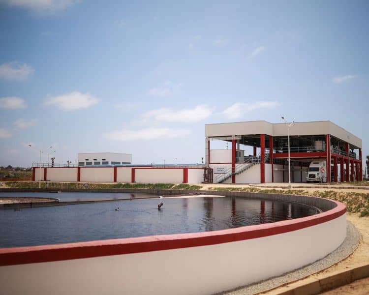 imagen-cuerpo imagen-cuerpo