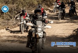 Palo Alto Networks presenta Prisma AIRS: la base sobre la que prospera la seguridad de la IA Palo Alto Networks presenta Prisma AIRS: la base sobre la que prospera la seguridad de la IA