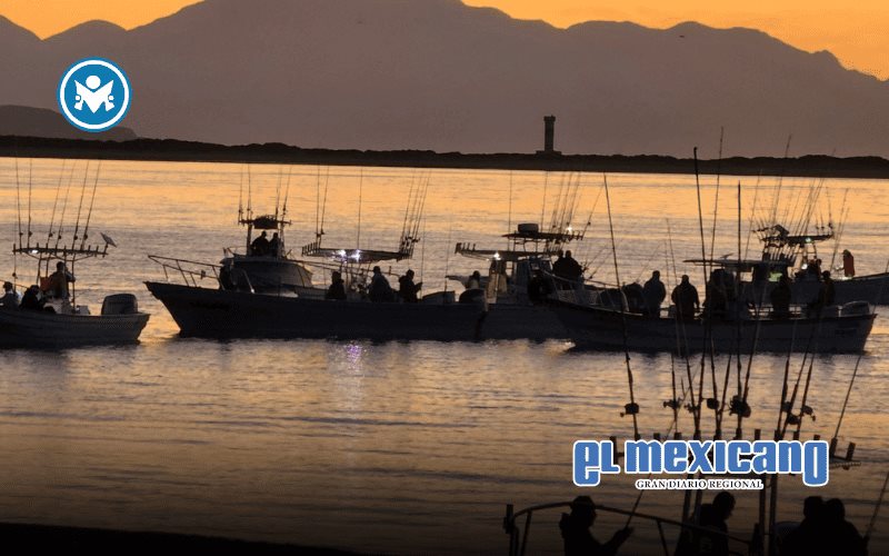 Intensa actividad de pesca deportiva en Bahía de los Ángeles, Tecate y Ensenada