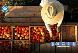 APEC exhorta a la prevención para evitar la pérdida de la visión en la niñez APEC exhorta a la prevención para evitar la pérdida de la visión en la niñez