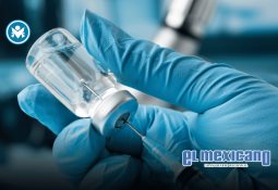 "No podemos convertir las campañas en un coliseo romano": especialistas advierten riesgos del nuevo acuerdo del INE. "No podemos convertir las campañas en un coliseo romano": especialistas advierten riesgos del nuevo acuerdo del INE.