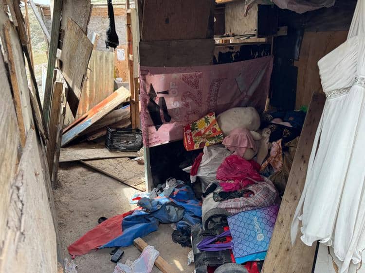 imagen-cuerpo imagen-cuerpo