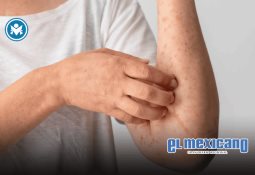 México no es piñata de nadie, con la Cuarta Transformación el pueblo recuperó su dignidad y su fuerza: Sheinbaum desde Campeche México no es piñata de nadie, con la Cuarta Transformación el pueblo recuperó su dignidad y su fuerza: Sheinbaum desde Campeche