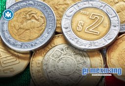 Menor de 13 años muere en campamento de la Academia Militarizada Ollin Cuauhtémoc; denuncian tortura Menor de 13 años muere en campamento de la Academia Militarizada Ollin Cuauhtémoc; denuncian tortura