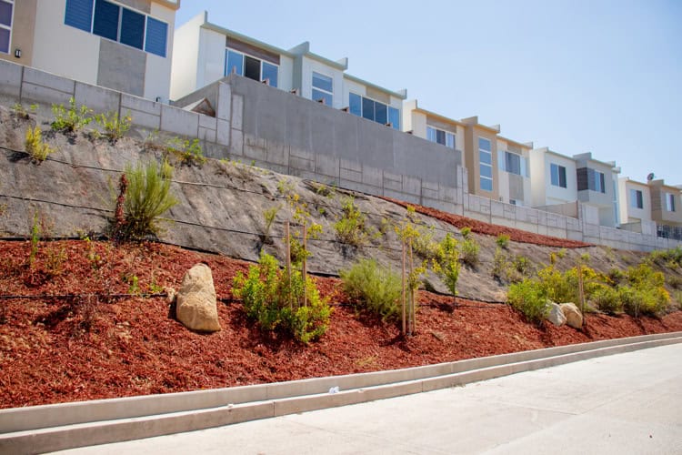 imagen-cuerpo imagen-cuerpo