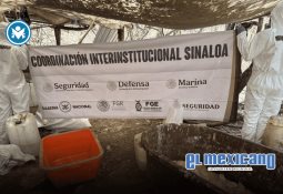 Celebran reinicio de pagos a maiceros y exigen defensa del tomate mexicano