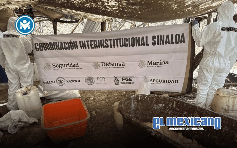 Desmantelan narcolaboratorio en Sinaloa con 250 kg de metanfetamina y más de 3,000 kg de precursores Desmantelan narcolaboratorio en Sinaloa con 250 kg de metanfetamina y más de 3,000 kg de precursores