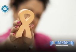 Más de 50 mil despensas han sido entregadas por DIF Ensenada y Fundación Centavos de Gratitud Más de 50 mil despensas han sido entregadas por DIF Ensenada y Fundación Centavos de Gratitud