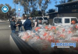 Asume niña Paulette Rueda Flores como gobernadora de Baja California por un día Asume niña Paulette Rueda Flores como gobernadora de Baja California por un día