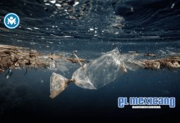 Spotify subirá precios en México a partir de junio de 2025