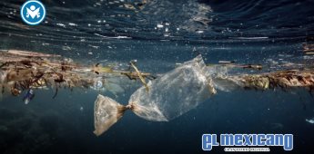 Científicos japoneses crean plástico que se disuelve en el mar en horas Científicos japoneses crean plástico que se disuelve en el mar en horas