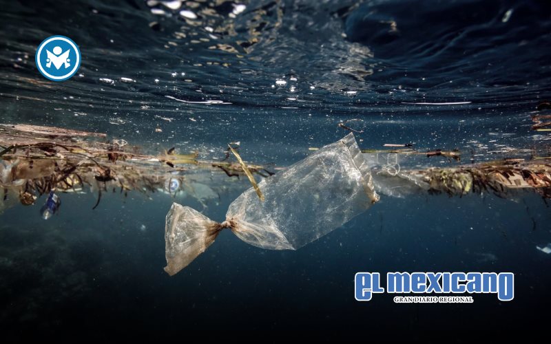 Científicos japoneses crean plástico que se disuelve en el mar en horas