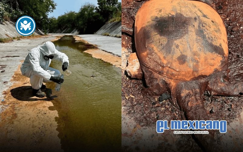 Derrame químico de Ternium contamina arroyo La Talaverna en Nuevo León