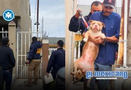 Riña termina en atropellamiento y dos detenidos armados