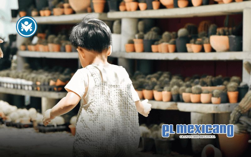 Alejandro Díaz Ceballos impulsa alianzas empresariales a favor de la infancia en México Alejandro Díaz Ceballos impulsa alianzas empresariales a favor de la infancia en México