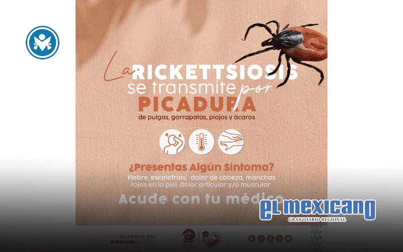 Exhorta gobierno a sumarse a la prevenci&oacute;n de la rickettsiosis