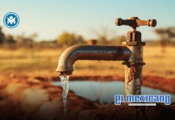 Inicia el Cónclave 2025 para elegir al sucesor del Papa Francisco Inicia el Cónclave 2025 para elegir al sucesor del Papa Francisco