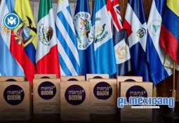 En México más del 11% de nacimientos son concebidos por mujeres mayores de 35 años