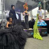 Festival de Arte y cultura