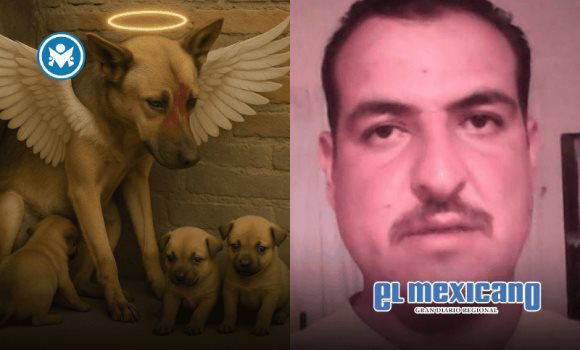 Hombre machetea brutalmente a perrita por robarse un pollo en Aguascalientes Hombre machetea brutalmente a perrita por robarse un pollo en Aguascalientes