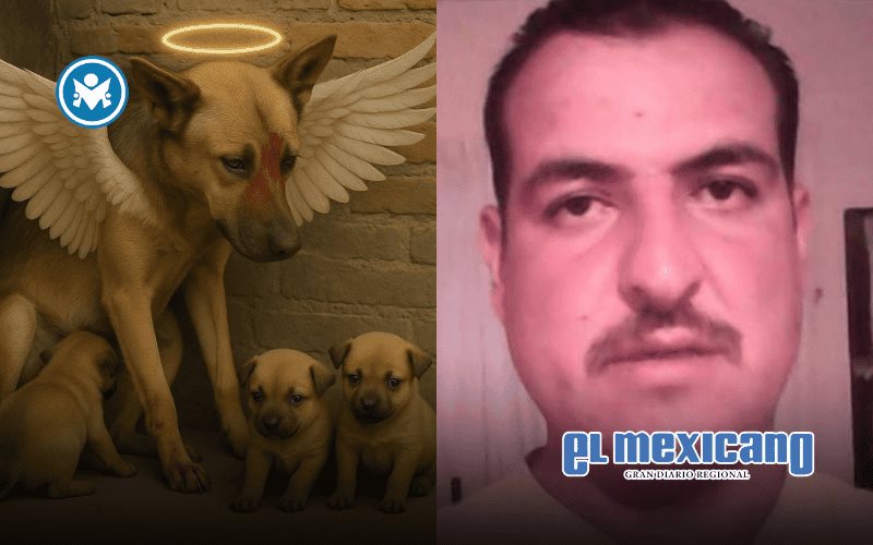 Hombre machetea brutalmente a perrita por robarse un pollo en Aguascalientes
