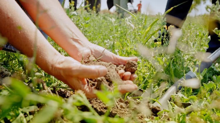 imagen-cuerpo imagen-cuerpo