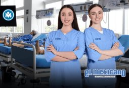 Marina asegura vehículos, cartuchos y droga en operativos en Navolato Marina asegura vehículos, cartuchos y droga en operativos en Navolato