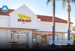 Tendencias de ense&ntilde;anza transformando las aulas: creatividad, tecnolog&iacute;a y experiencias multisensoriales