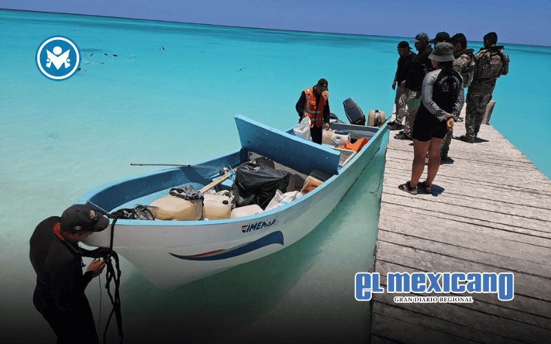 Cae embarcación con 132 kilos de caracol rosado en veda frente a Yucatán Cae embarcación con 132 kilos de caracol rosado en veda frente a Yucatán