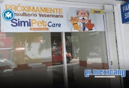 La hipertensión va en aumento en jóvenes, se busca disminuir estos números