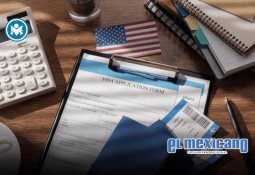 Palmera cae y hiere gravemente a un hombre en pleno Festival de Cannes