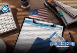 Palmera cae y hiere gravemente a un hombre en pleno Festival de Cannes