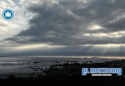 Exponen una mirada artística del maíz y su legado cultural con "La Trenza" Exponen una mirada artística del maíz y su legado cultural con "La Trenza"